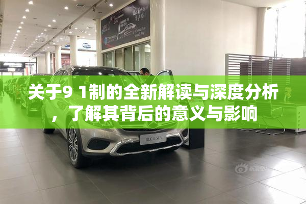 关于9 1制的全新解读与深度分析，了解其背后的意义与影响