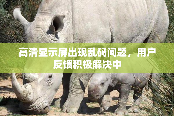 高清显示屏出现乱码问题，用户反馈积极解决中