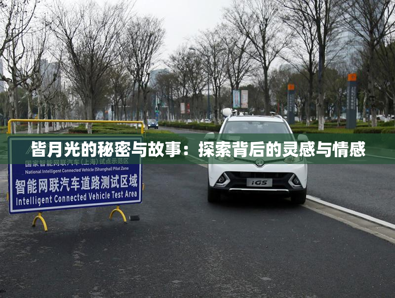 皆月光的秘密与故事：探索背后的灵感与情感