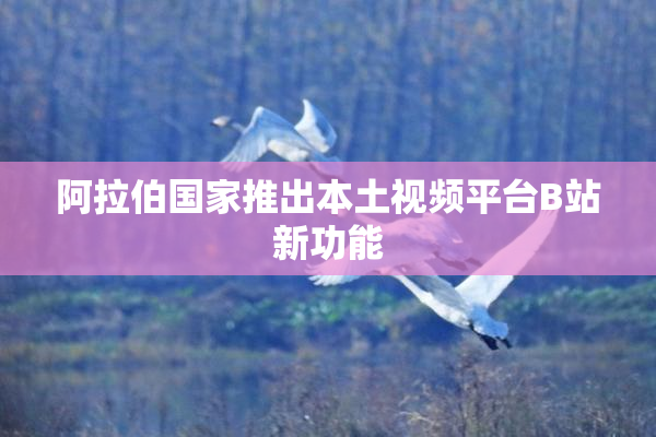 阿拉伯国家推出本土视频平台B站新功能