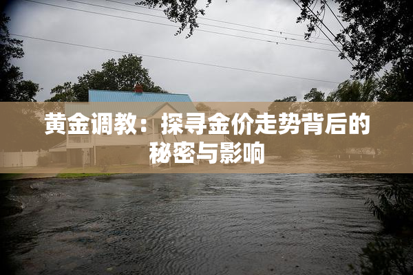 黄金调教：探寻金价走势背后的秘密与影响