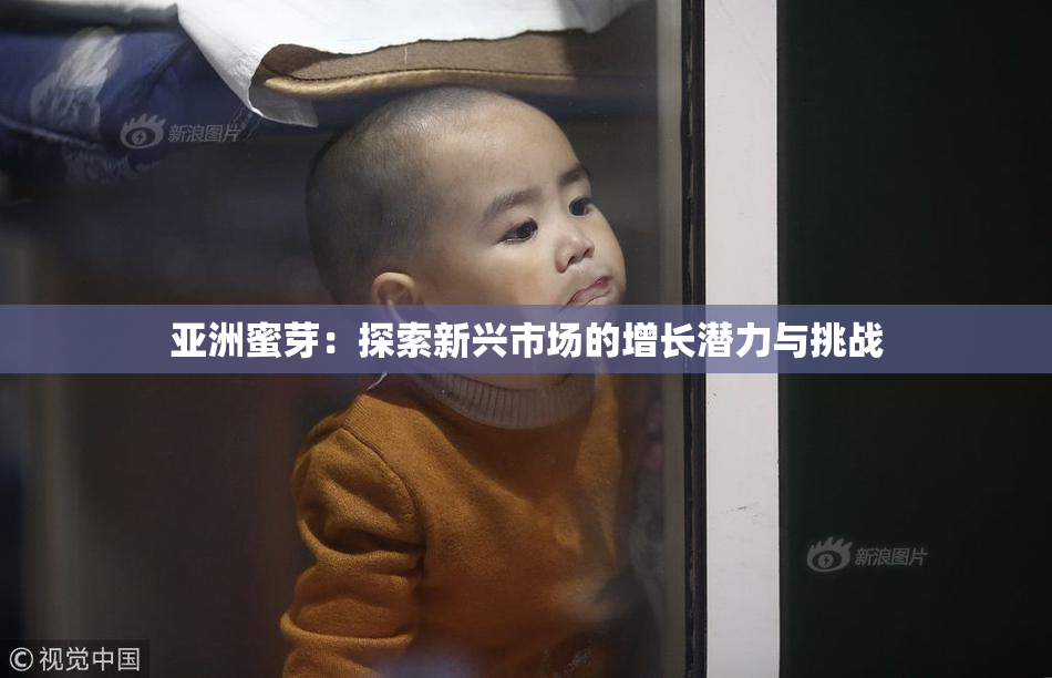 亚洲蜜芽：探索新兴市场的增长潜力与挑战