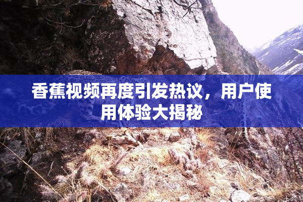 香蕉视频再度引发热议，用户使用体验大揭秘