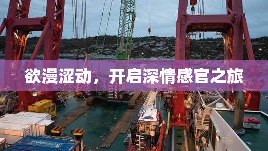 欲漫涩动，开启深情感官之旅