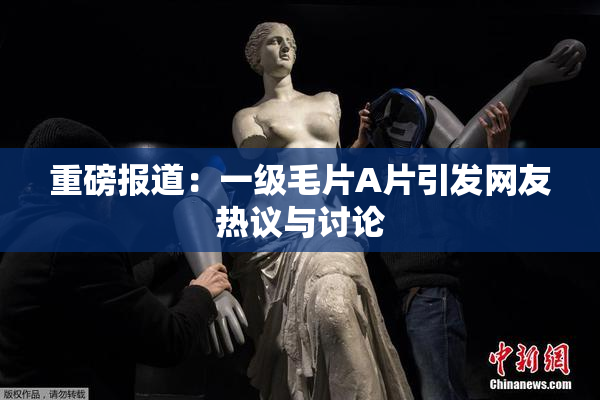 重磅报道：一级毛片A片引发网友热议与讨论
