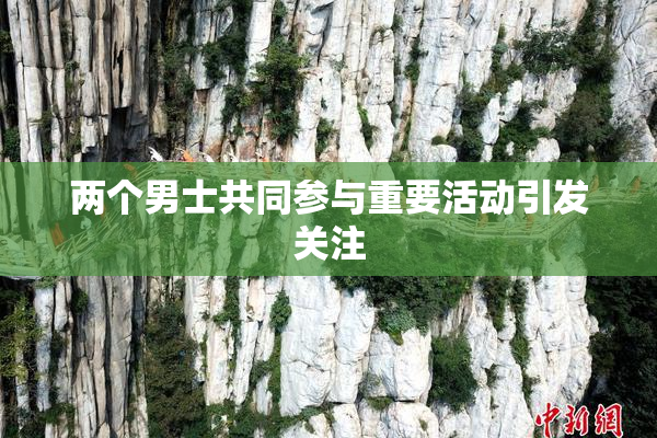 两个男士共同参与重要活动引发关注