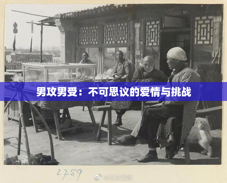 男攻男受：不可思议的爱情与挑战