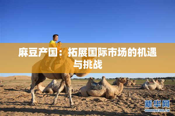 麻豆产国：拓展国际市场的机遇与挑战