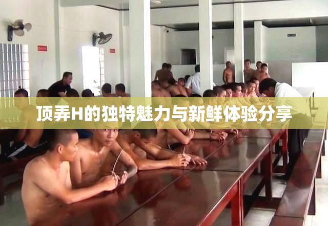 顶弄H的独特魅力与新鲜体验分享