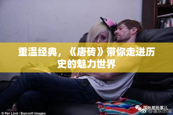 重温经典，《唐砖》带你走进历史的魅力世界