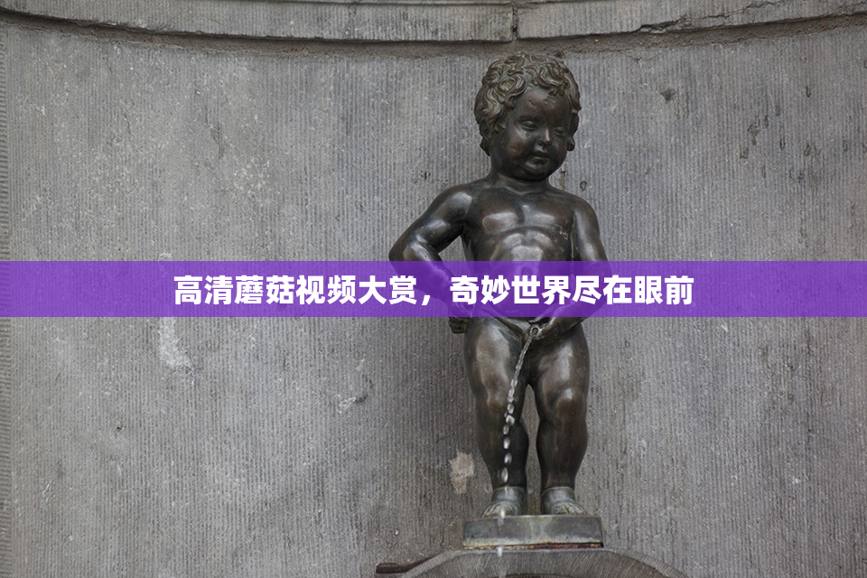高清蘑菇视频大赏，奇妙世界尽在眼前