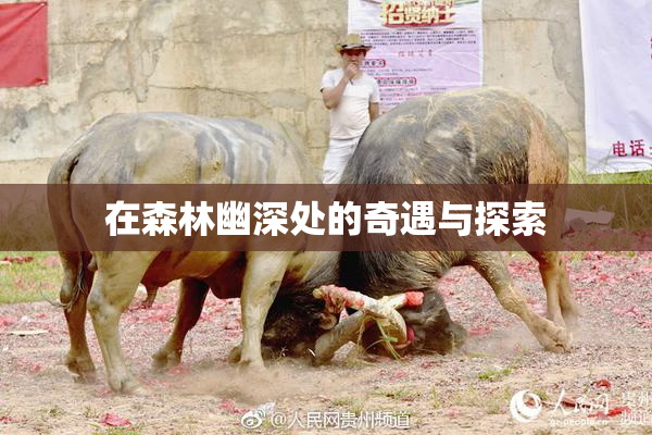 在森林幽深处的奇遇与探索