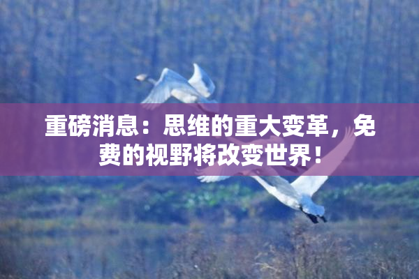 重磅消息：思维的重大变革，免费的视野将改变世界！