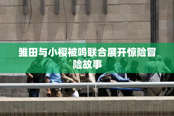 雏田与小樱被鸣联合展开惊险冒险故事