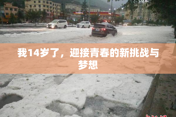 我14岁了，迎接青春的新挑战与梦想