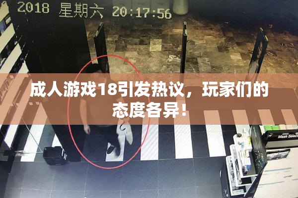 成人游戏18引发热议，玩家们的态度各异！