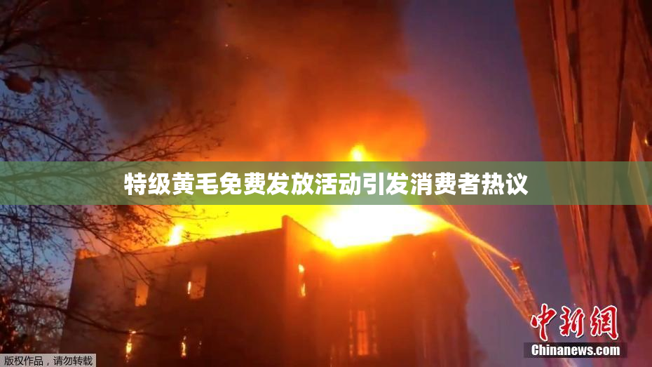 特级黄毛免费发放活动引发消费者热议