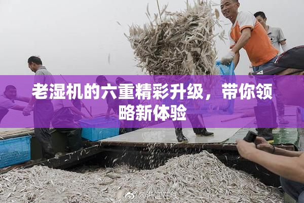 老湿机的六重精彩升级，带你领略新体验
