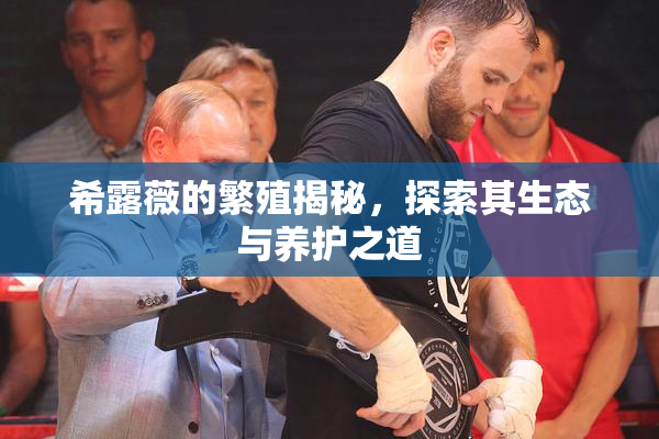 希露薇的繁殖揭秘，探索其生态与养护之道