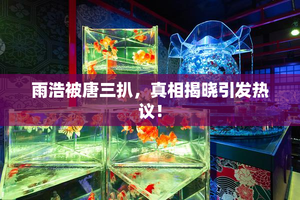 雨浩被唐三扒，真相揭晓引发热议！