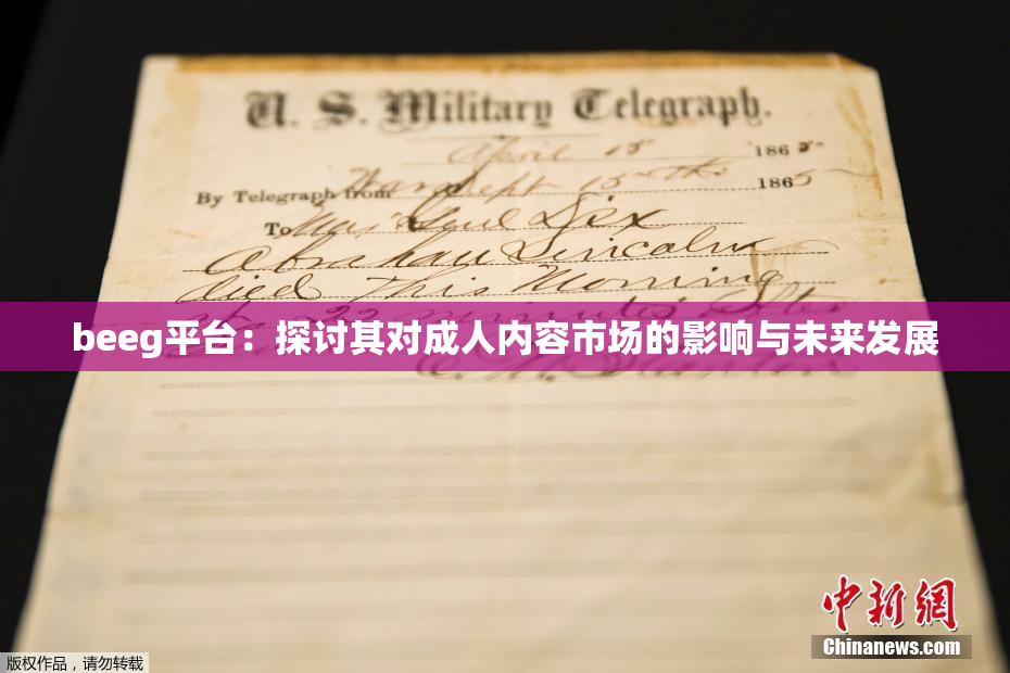 beeg平台：探讨其对成人内容市场的影响与未来发展