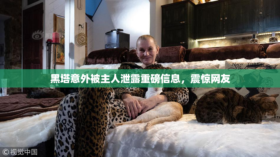 黑塔意外被主人泄露重磅信息，震惊网友