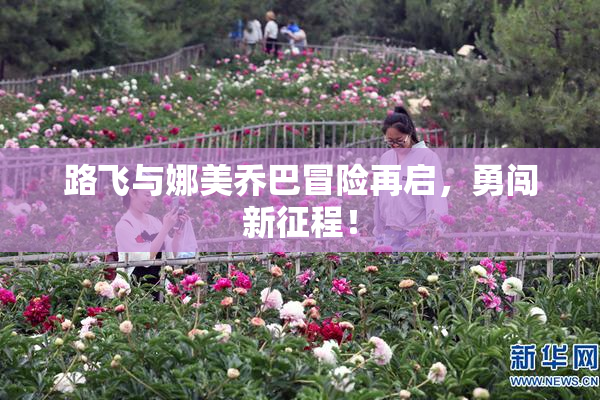 路飞与娜美乔巴冒险再启，勇闯新征程！
