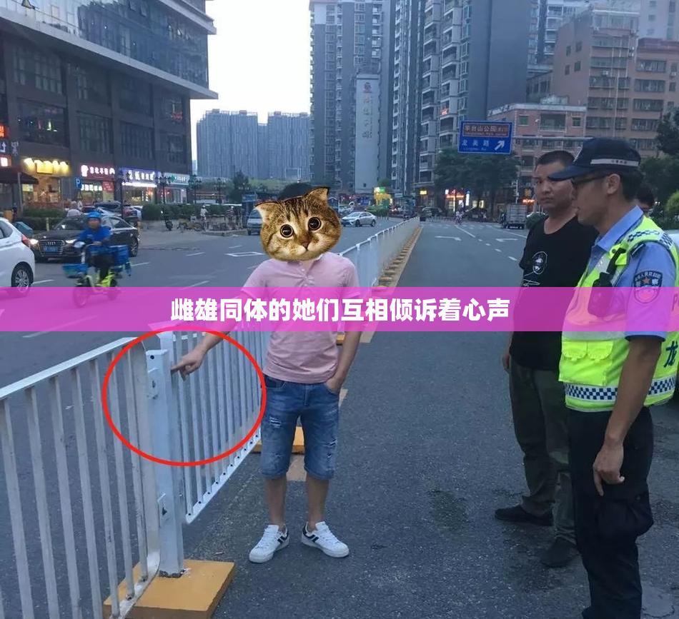 雌雄同体的她们互相倾诉着心声