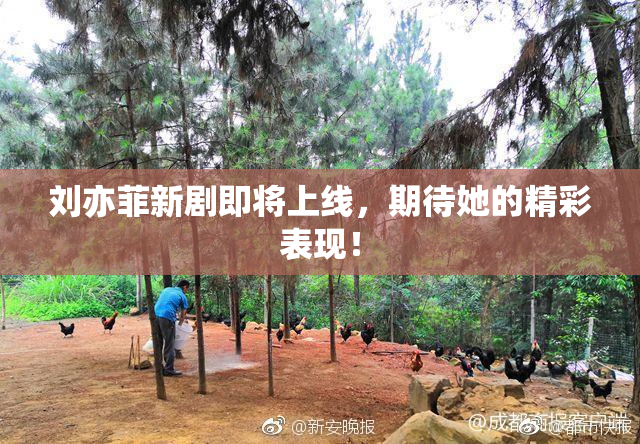 刘亦菲新剧即将上线，期待她的精彩表现！