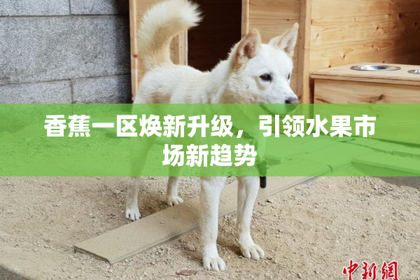 香蕉一区焕新升级，引领水果市场新趋势