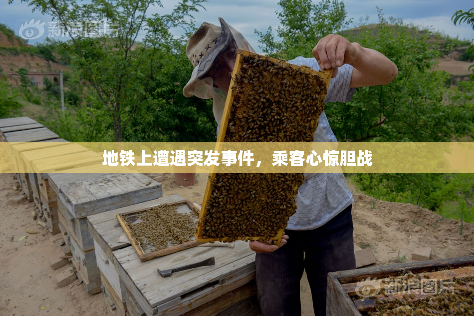 地铁上遭遇突发事件，乘客心惊胆战