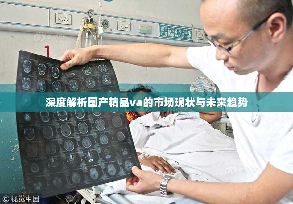 深度解析国产精品va的市场现状与未来趋势