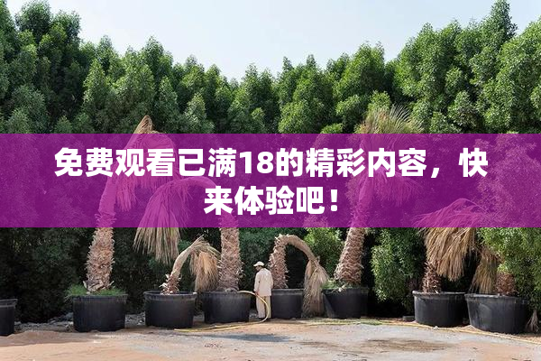 免费观看已满18的精彩内容，快来体验吧！