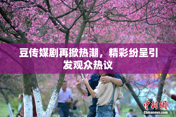 豆传媒剧再掀热潮，精彩纷呈引发观众热议