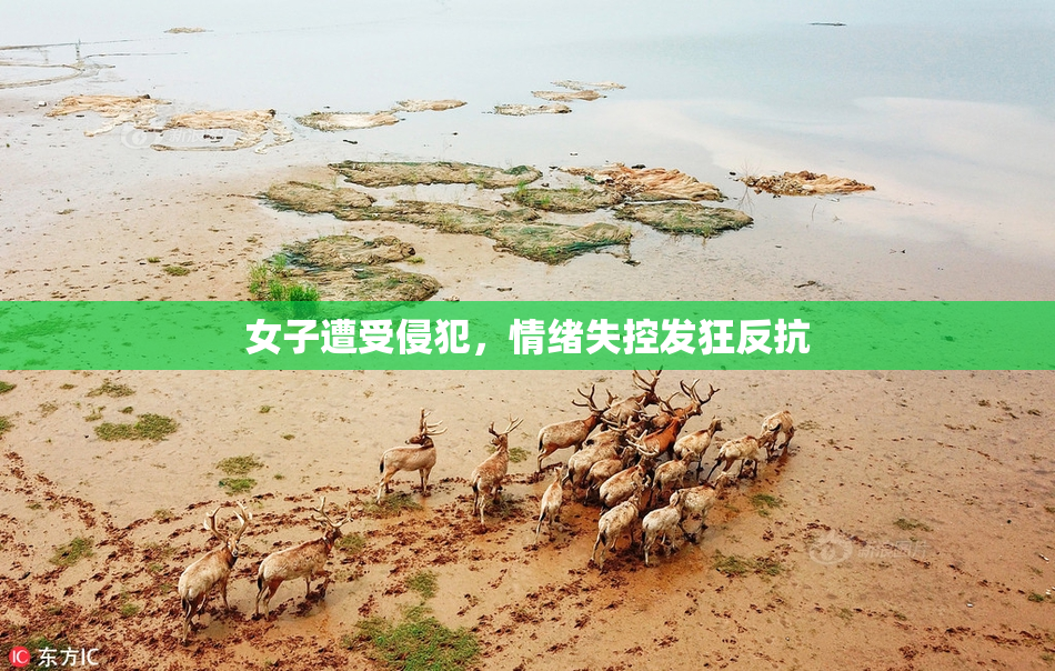 女子遭受侵犯，情绪失控发狂反抗