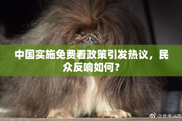 中国实施免费看政策引发热议，民众反响如何？