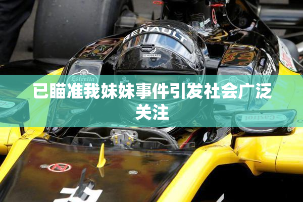 已瞄准我妹妹事件引发社会广泛关注