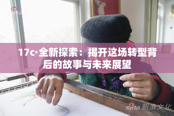 17c·全新探索：揭开这场转型背后的故事与未来展望