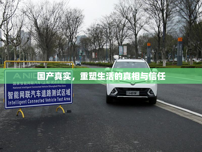国产真实，重塑生活的真相与信任