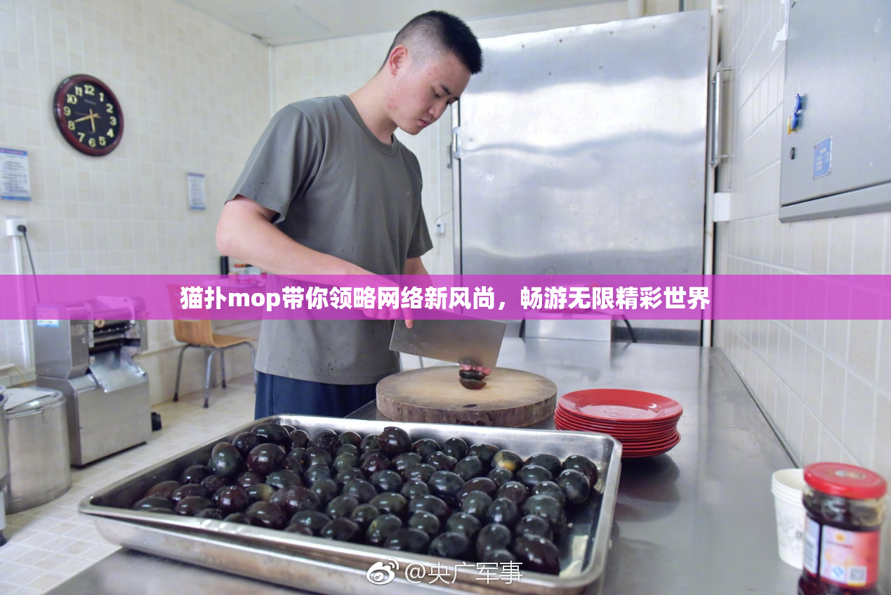 猫扑mop带你领略网络新风尚，畅游无限精彩世界