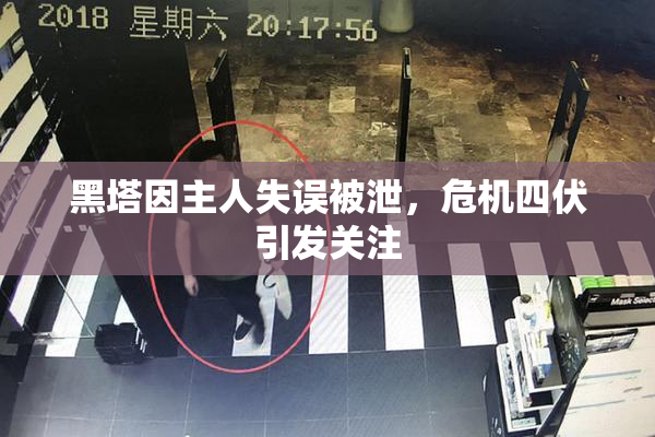 黑塔因主人失误被泄，危机四伏引发关注