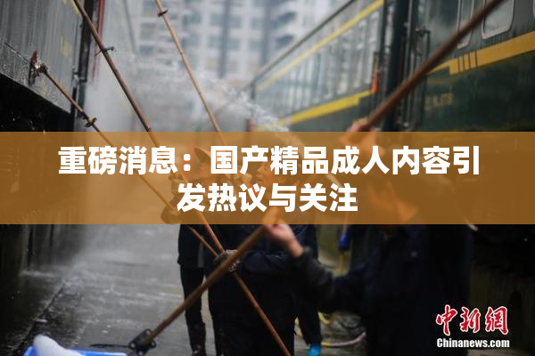 重磅消息：国产精品成人内容引发热议与关注