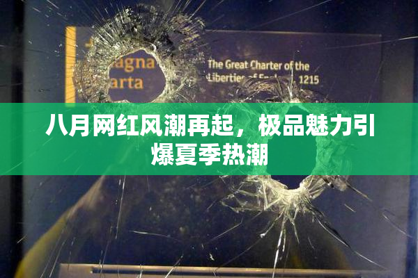 八月网红风潮再起，极品魅力引爆夏季热潮