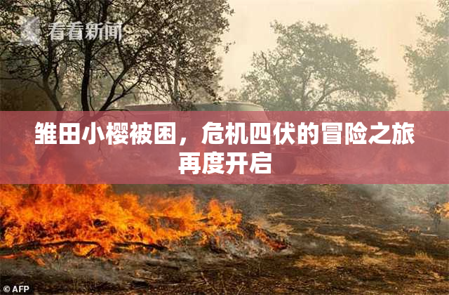 雏田小樱被困，危机四伏的冒险之旅再度开启