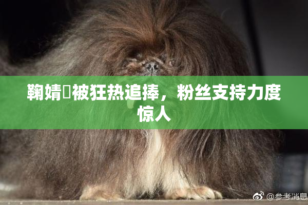 鞠婧祎被狂热追捧，粉丝支持力度惊人