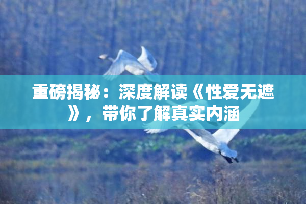 重磅揭秘：深度解读《性爱无遮》，带你了解真实内涵