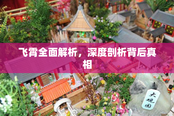 飞霄全面解析，深度剖析背后真相