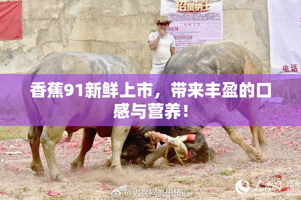 香蕉91新鲜上市，带来丰盈的口感与营养！