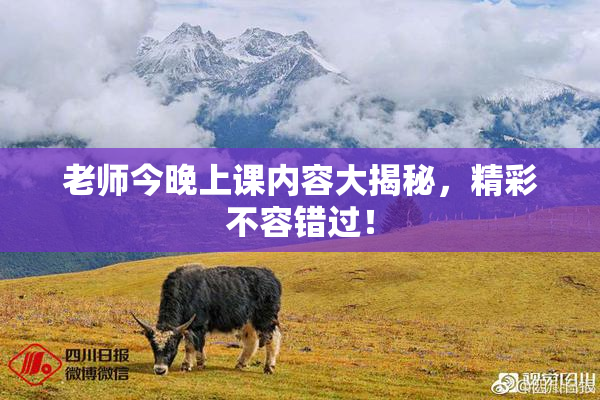 老师今晚上课内容大揭秘，精彩不容错过！