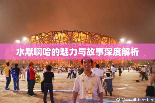 水默啊哈的魅力与故事深度解析